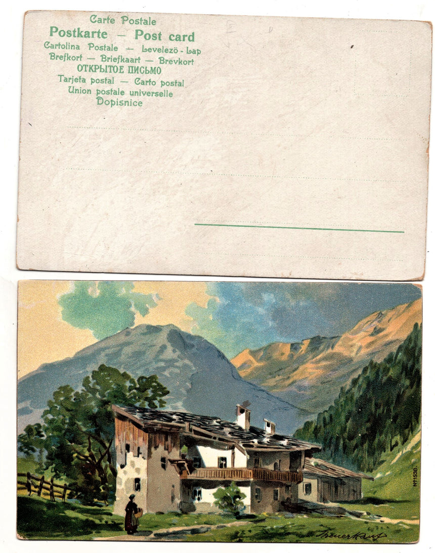 Cartolina Sudtirol Alto Adige Bolzano Bozen Paesaggio Montano  | Collezionissimo