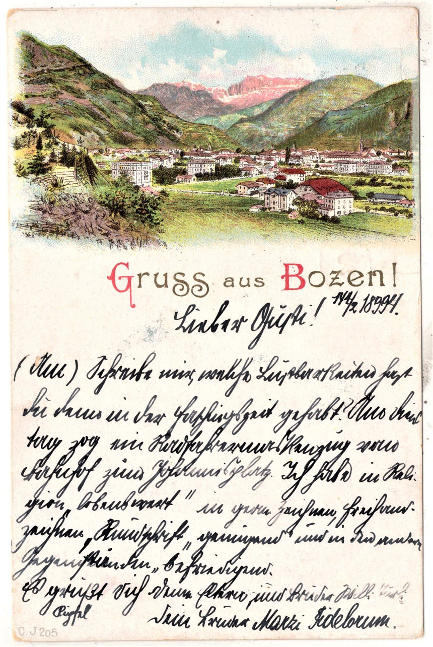 Cartolina Sudtirol Alto Adige Bolzano Bozen Gruss aus Bolzano Bozen | Collezionissimo