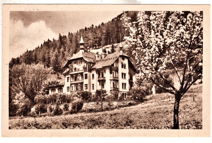 Cartolina Sudtirol Alto Adige Bolzano Bozen Colle Isarco Gossensass Hotel Gudrun | Collezionissimo