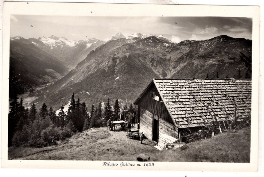 Cartolina Sudtirol Alto Adige Bolzano Bozen il confine del Brennero | Collezionissimo