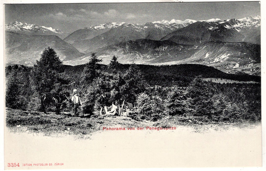 Cartolina Sudtirol Alto Adige Bolzano Bozen la Mendola panorama for der Penegalspitze | Collezionissimo