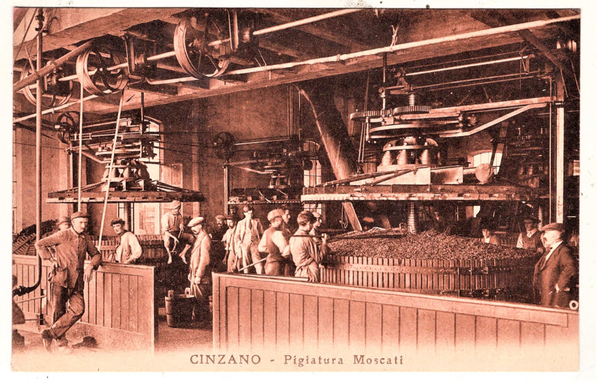 Cartolina Torino Cinzano pigiature moscati | Collezionissimo