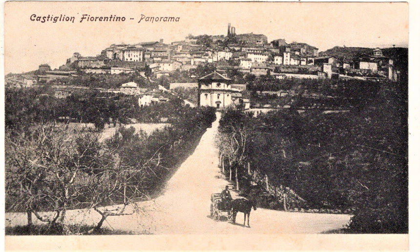 Cartolina Castiglion Fiorentino panorama | Collezionissimo