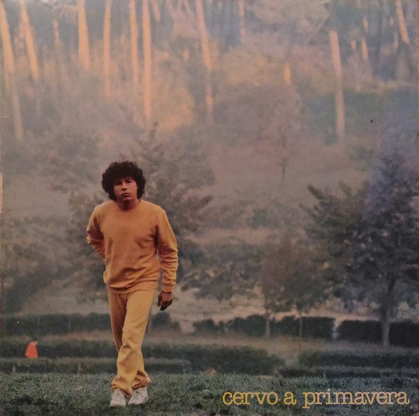 Vinyl LP - Riccardo Cocciante - Cervo A Primavera