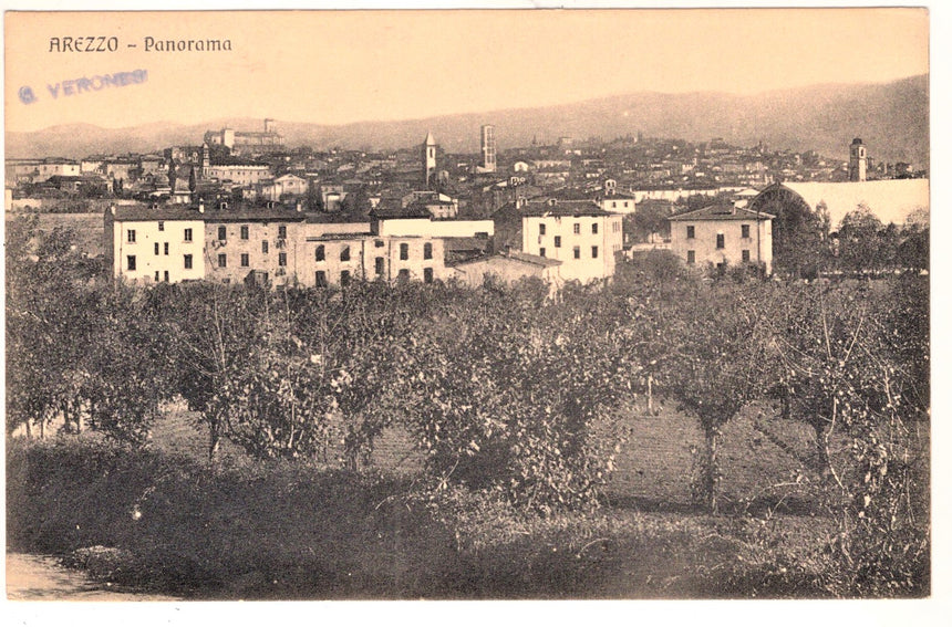 Cartolina Arezzo panorama | Collezionissimo