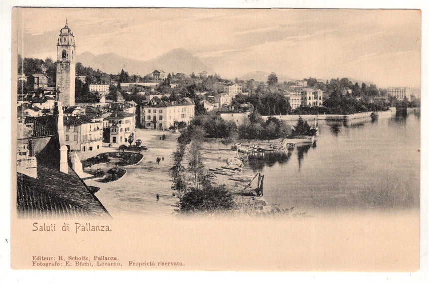 Cartolina Pallanza lago Maggiore | Collezionissimo