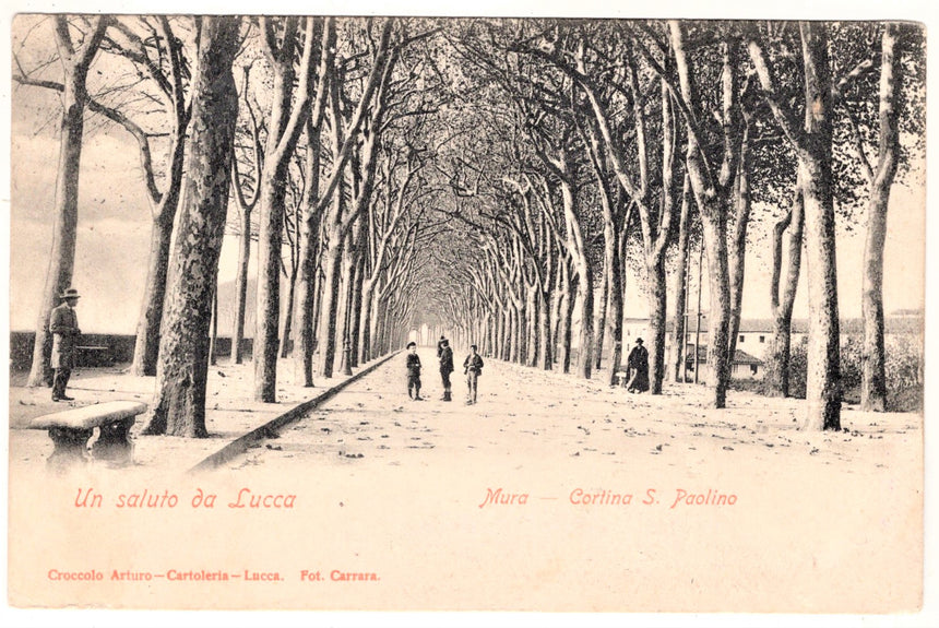 Cartolina Lucca Mura Cortina S.Paolino | Collezionissimo