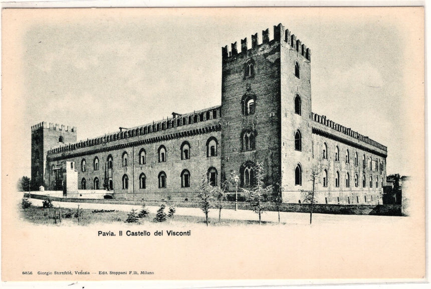 Cartolina Pavia castello dei Visconti | Collezionissimo