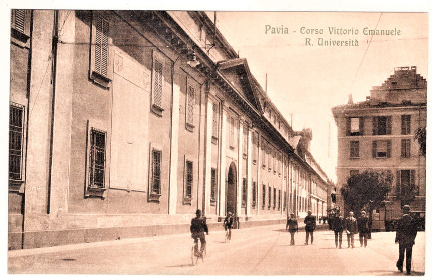 Cartolina Pavia Reggia università | Collezionissimo