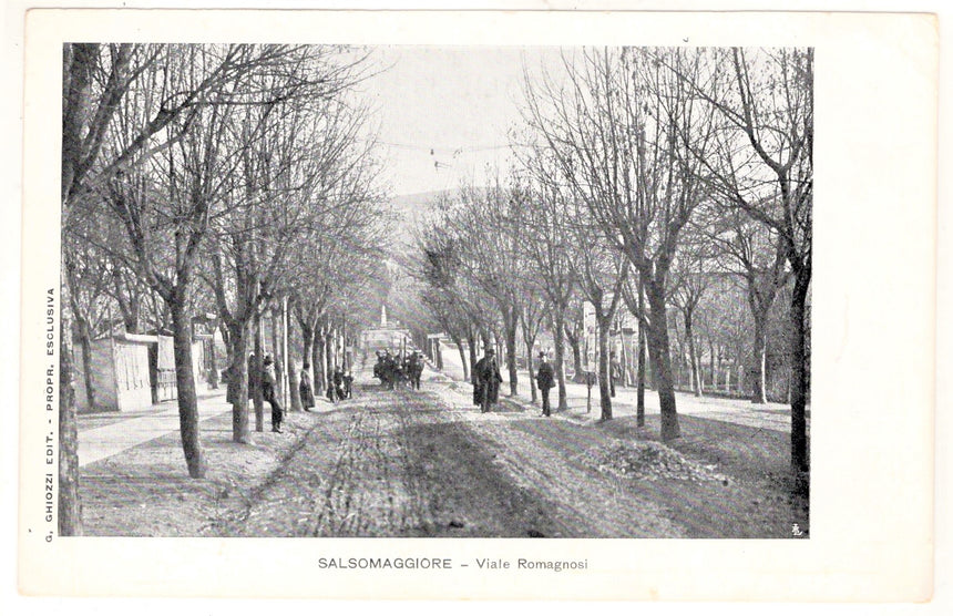 Cartolina Parma Salsomaggiore viale Romagnosi | Collezionissimo