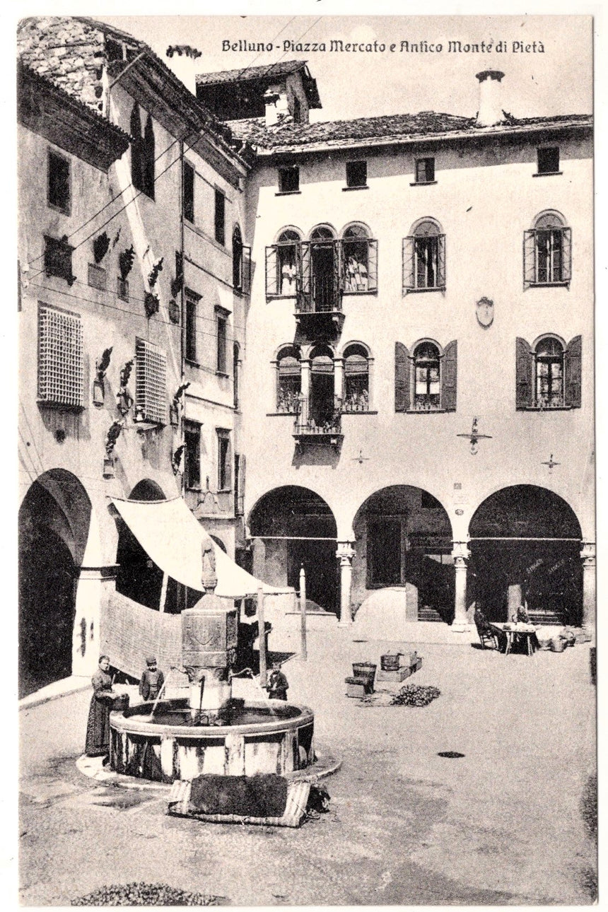 Cartolina Belluno piazza mercato | Collezionissimo