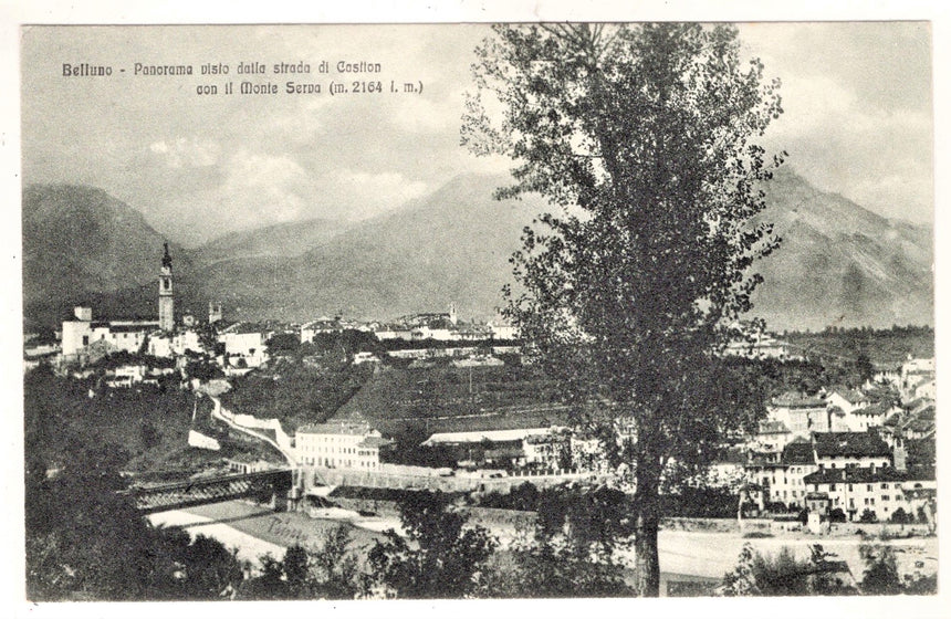 Cartolina Belluno panorama | Collezionissimo