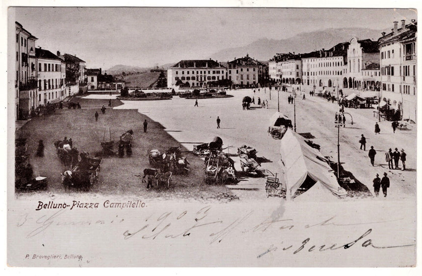 Cartolina Belluno piazza Campitello mercato | Collezionissimo