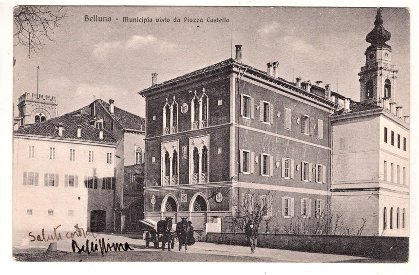 Cartolina Belluno municipio | Collezionissimo