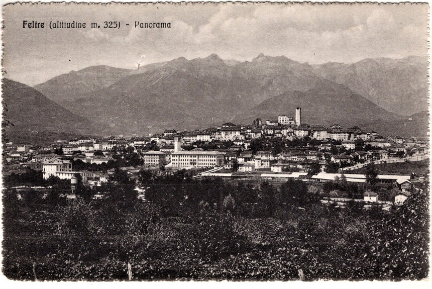 Cartolina Belluno Feltre panorama | Collezionissimo