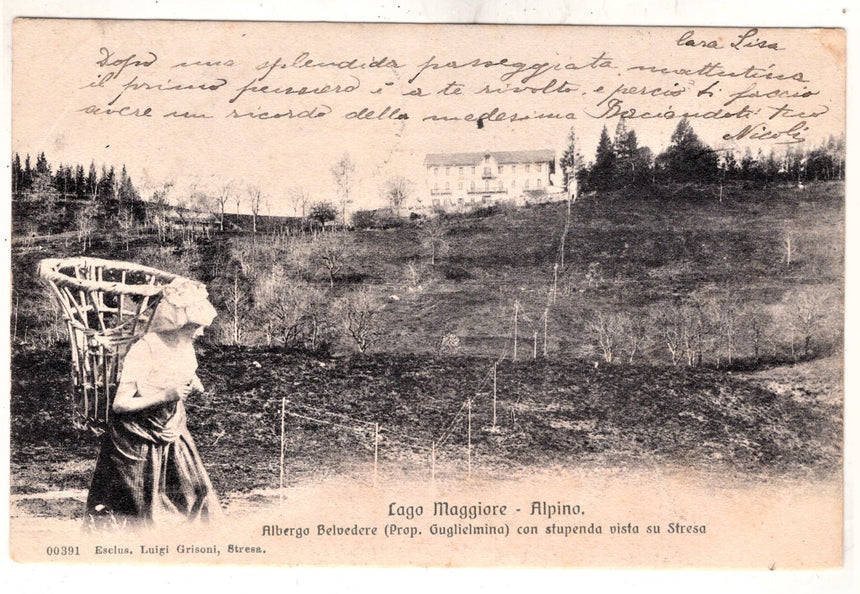 Cartolina Lago Maggiore Verbania Alpino albergo Belvedere timbro hotel Belle Vue | Collezionissimo