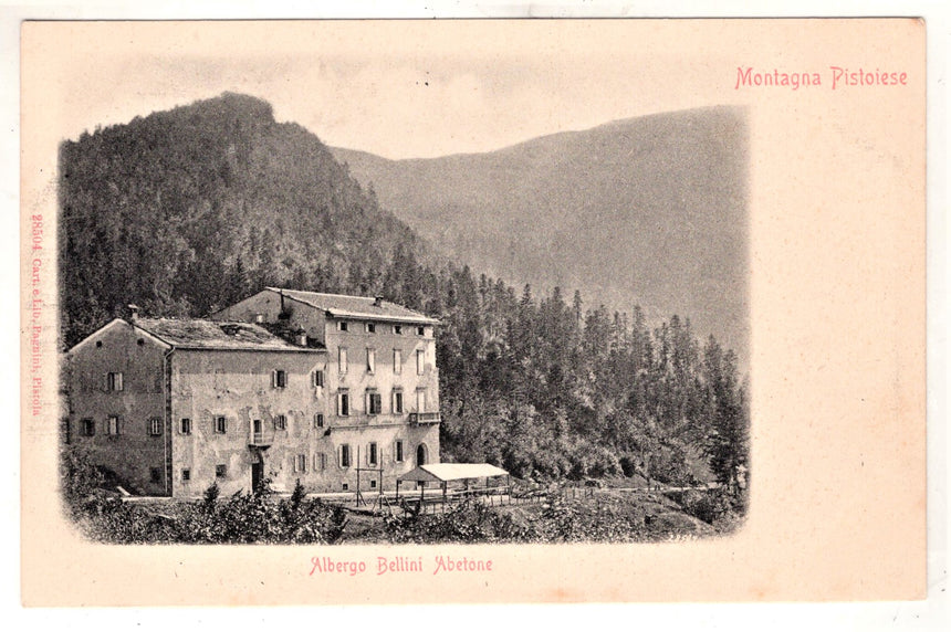 Cartolina Pistoia Montagna Pistoiese Albergo Bellini Abetone | Collezionissimo