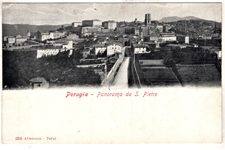 Cartolina Perugia Panorama da S.Pietro | Collezionissimo