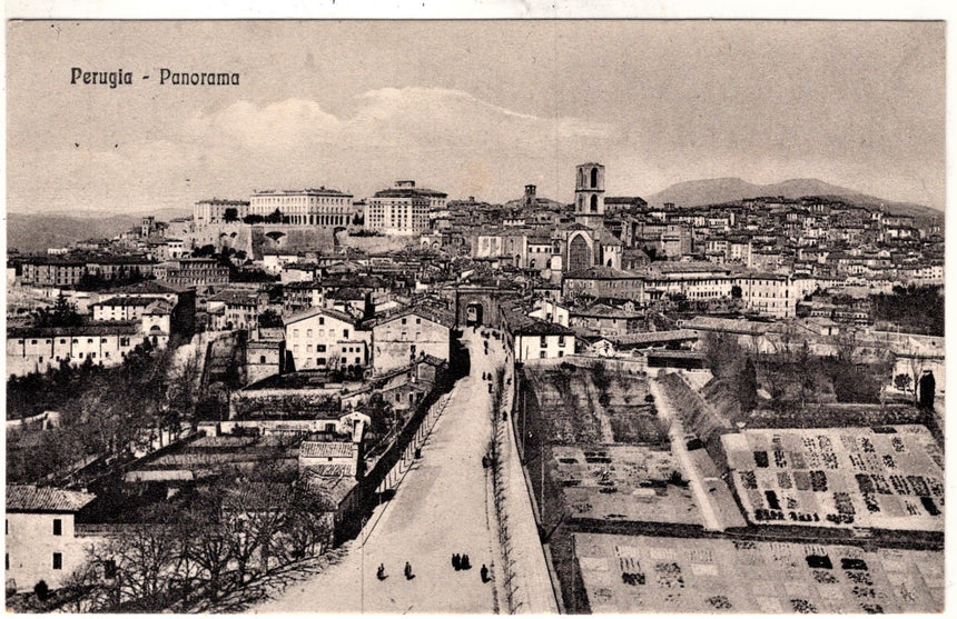 Cartolina Perugia Panorama | Collezionissimo