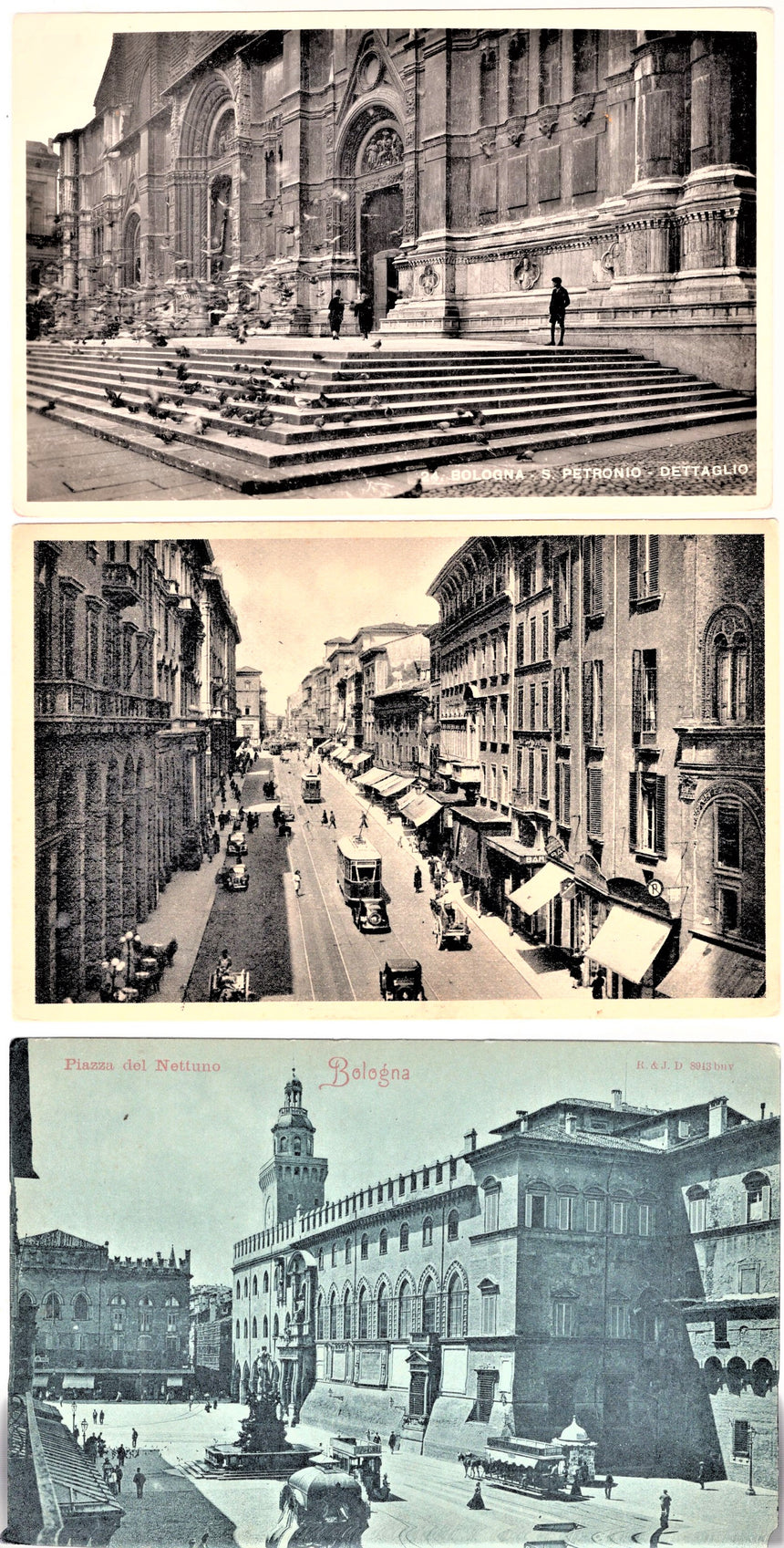 Cartolina Bologna piazza Nettuno via Rizzoli S.Petronio | Collezionissimo