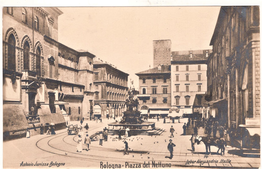 Cartolina Bologna Piazza Nettuno | Collezionissimo