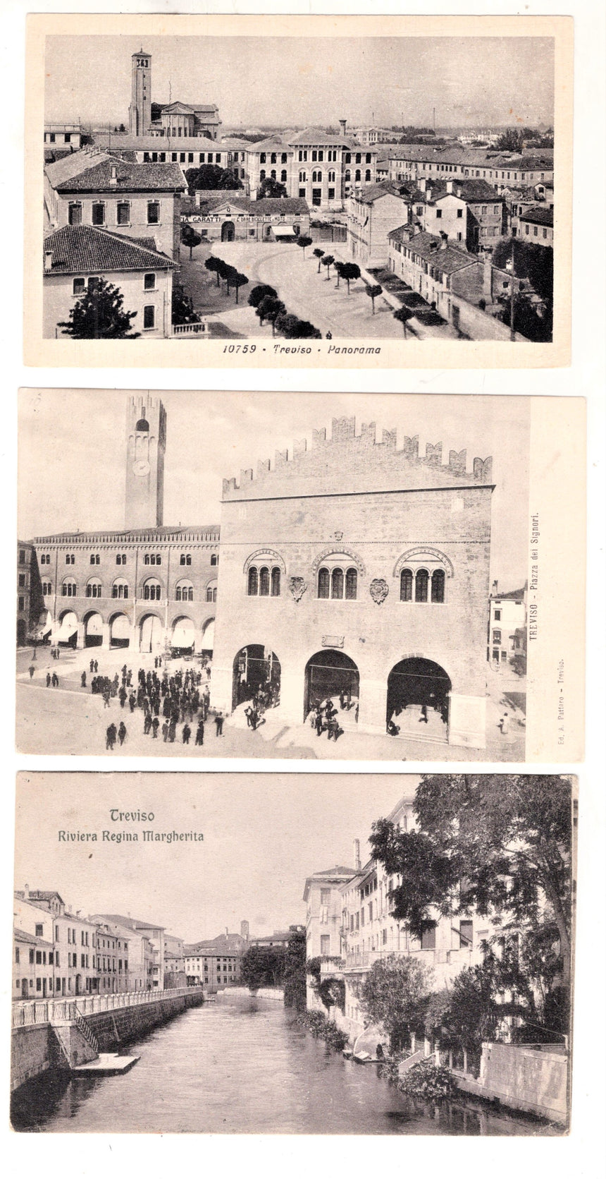 Cartolina Treviso Piazza Signori Riv Margherita Panorama | Collezionissimo