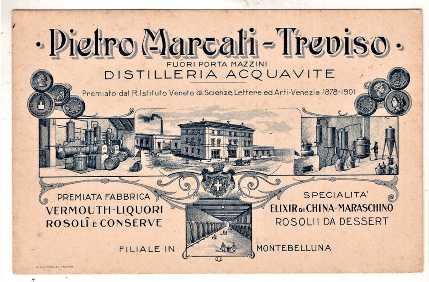 Cartolina Treviso Pubblicità distilleria P. Marcati | Collezionissimo