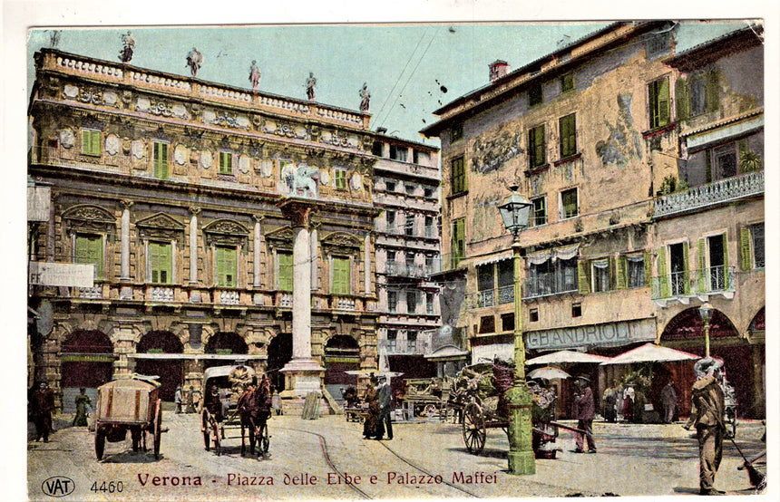 Cartolina Verona Piazza Erbe | Collezionissimo