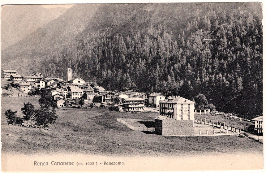 Cartolina Torino Ronco Torinese panorama | Collezionissimo