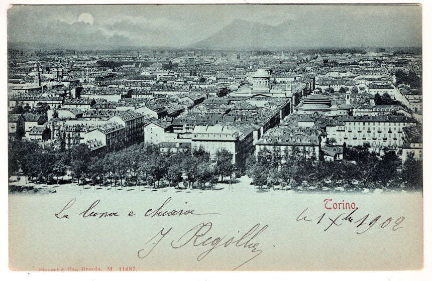 Cartolina Torino panorama | Collezionissimo