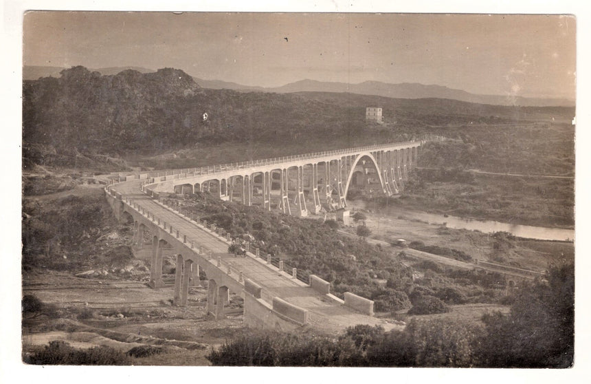 Cartolina Torino Fotografia timbro Ingg. Flli Pevotto via Galvani TO | Collezionissimo